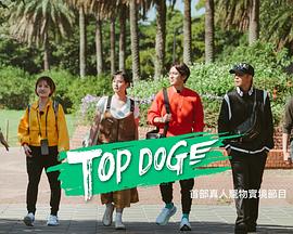 暗网禁区app《TOP DOG》免费在线观看
