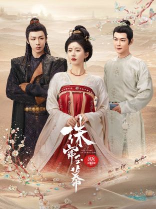 暗网禁区《珠帘玉幕》免费在线观看