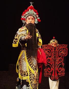 暗网禁区破解版《袁崇焕2009》免费在线观看